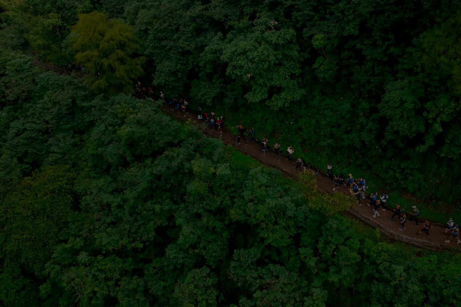 Trail Run Tahura