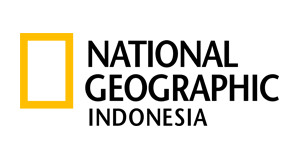 image logo