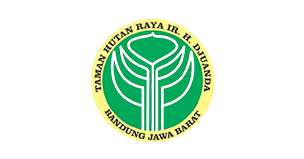 image logo